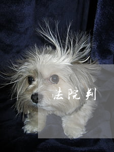 法院判決書可以報(bào)銷嗎