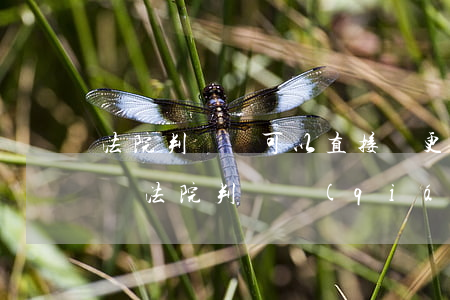 法院判決書可以直接變更股權(quán)嗎(法院判決強(qiáng)制變更股東)