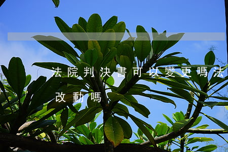 法院判決書可以變更嗎(法院有權利將判決書改動嗎)