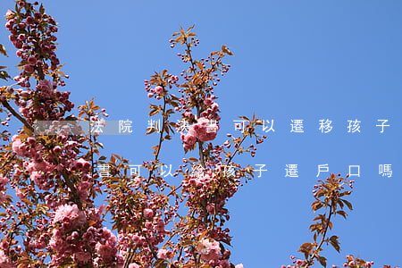 法院判決書可以遷移孩子戶口嗎(拿法院判決書可以給孩子遷戶口嗎)