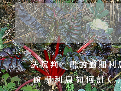 法院判決書的逾期利息怎么算(法院判決賠償逾期利息如何計(jì)算器)