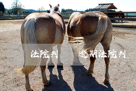 法院判決書逾期(法院判決書逾期)