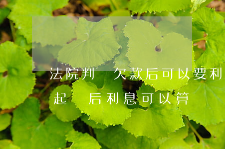 法院判決欠款后可以要利息嗎(欠錢不還法院起訴后,利息可以算嗎)