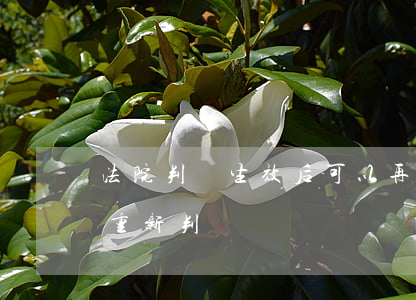法院判決生效后可以再重審嗎(法院判決可以重新判嗎)