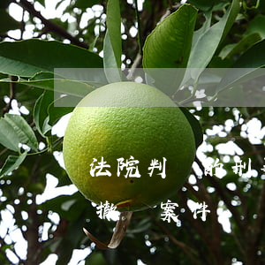 法院判決的刑事案件可以撤銷嗎(刑事訴訟法 撤銷案件)
