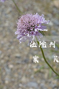法院判決的民事調(diào)解書可以翻案嗎(民事判決書下來還能調(diào)解嗎)