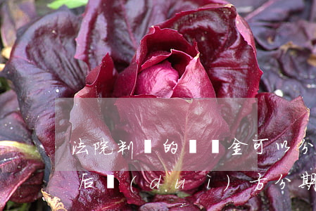法院判決的賠償金可以分期嗎(法院判決賠償后對(duì)方分期支付怎么辦)