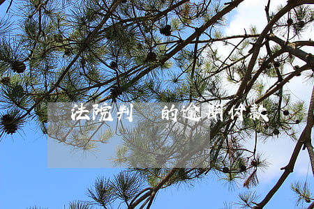 法院判決的逾期付款違約金