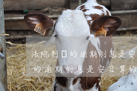 法院判決的逾期利息是安日算的嗎(法院判決的逾期利息是安日算的嗎)