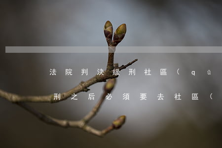 法院判決緩刑社區(qū)可以不勞動嗎(緩刑之后必須要去社區(qū)勞動嗎)