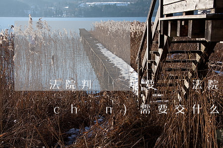 法院判決繼承要稅嗎(法院判決的繼承房產(chǎn)需要交什么稅)