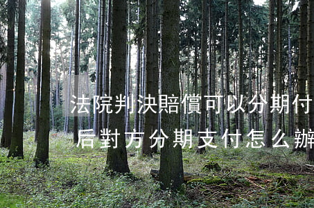 法院判決賠償可以分期付款嗎(法院判決賠償后對方分期支付怎么辦)
