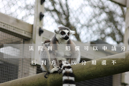 法院判決賠償可以申請分期嗎(法院判決賠償后對方可以分期還不)