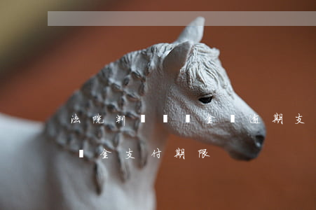 法院判決賠償金額逾期支付利息(法院判決賠償金支付期限)