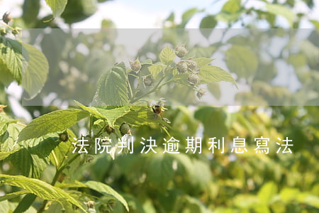 法院判決逾期利息寫法