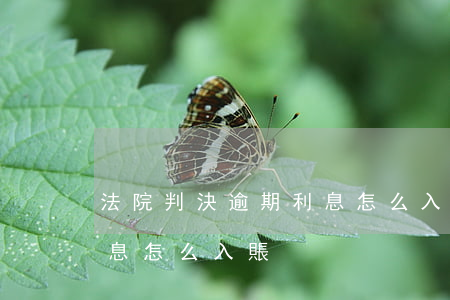 法院判決逾期利息怎么入賬(法院判決逾期利息怎么入賬)