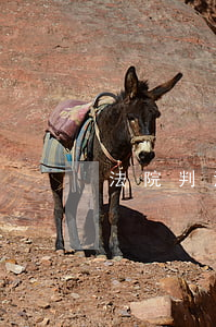 法院判決逾期利率上限(判決后逾期利息)