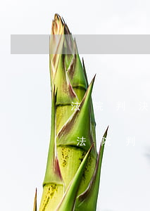 法院判決逾期到強制執(zhí)行(不履行法院判決多久可以申請強制執(zhí)行)