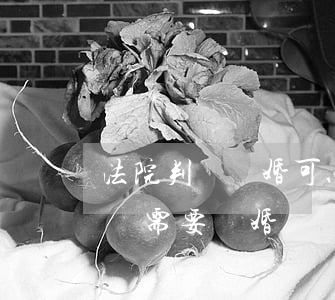 法院判決離婚可以辦離婚證嗎(民事判決離婚還需要離婚證嗎)