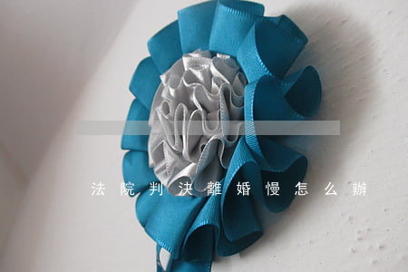法院判決離婚慢怎么辦