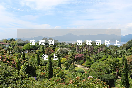 法院判決離婚我可以上訴嗎(法院判決離婚了還能上訴嗎)