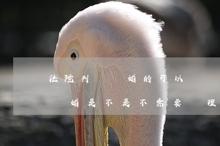 法院判決離婚的可以辦離婚證嗎(法院判決的離婚是不是不需要辦理離婚證了)
