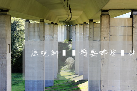 法院判決離婚要哪些條件