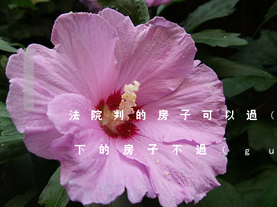 法院判的房子可以過(guò)戶嗎(法院拍下的房子不過(guò)戶可以嗎)