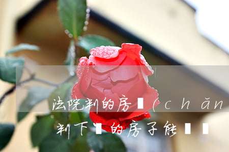 法院判的房產(chǎn)可以買賣嗎(法院判下來的房子能買嗎)