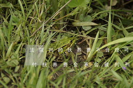 法院判的抚养费不合理可以上述吗(如果不支付抚养费会不会被判刑)