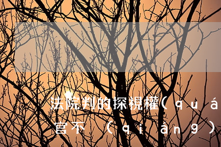 法院判的探視權(quán)可以更改嗎(法官不強(qiáng)制執(zhí)行探視權(quán))
