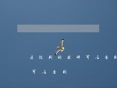 法院判的案件可以查到嗎(法院判的案子在哪可以查到)