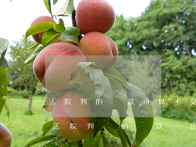 法院判的罰款可以不交嗎(關(guān)于法院判決的罰款一定要交嗎)