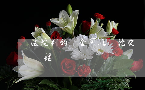 法院判的罰金可以異地交納嗎(罰款可以異地處理嗎)