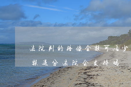 法院判的赔偿金额可以少吗(原告要求赔偿金额过分法院会支持吗)