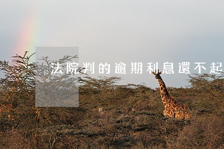 法院判的逾期利息還不起（法院判的逾期利息）
