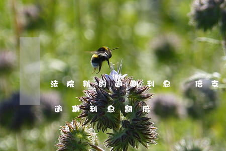 法院判的逾期利息雙倍支付怎么算(法院判決逾期利息翻倍)
