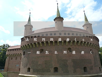 法院判的遺產(chǎn)可以貸款嗎(法院一般怎么判遺產(chǎn))