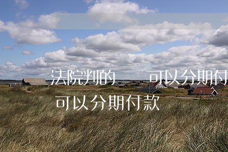 法院判的還錢可以分期付款嗎(法院判的還錢可以分期付款嗎)