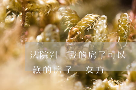 法院判給我的房子可以貸款嗎(法院判決有貸款的房子給女方)