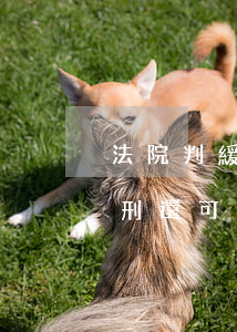 法院判緩刑公職可以保留嗎(公職人員判了緩刑還可以保留公職嗎)