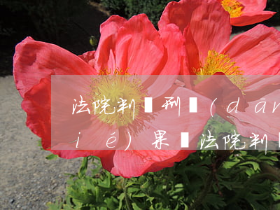 法院判緩刑當(dāng)天可以出結(jié)果嗎(法院判緩刑后多少天到司法局)