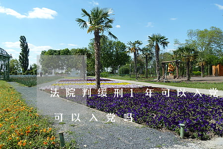 法院判缓刑1年可以入党吗(法院判缓刑1年可以入党吗)