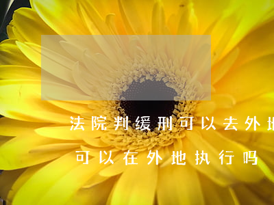 法院判缓刑可以去外地出差吗(在外地判缓刑可以在外地执行吗)