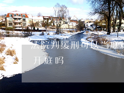法院判缓刑可以当庭释放吗(判缓刑还要法院开庭吗)
