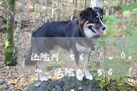 法院判賠56萬(wàn)逾期兩年利息多少-法院判賠56萬(wàn)逾期兩年利息多少錢