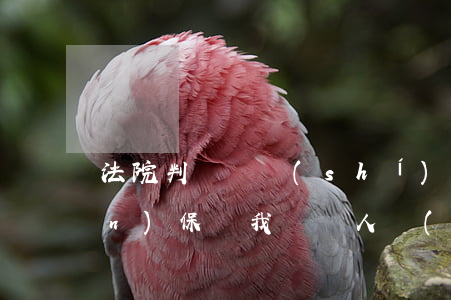 法院判賠償時(shí)可以找人擔(dān)保嗎(我給別人擔(dān)保法院起訴)