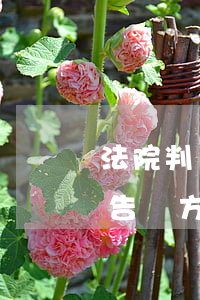 法院判贏了對方可以反訴嗎(在法庭上可以反告對方嗎)