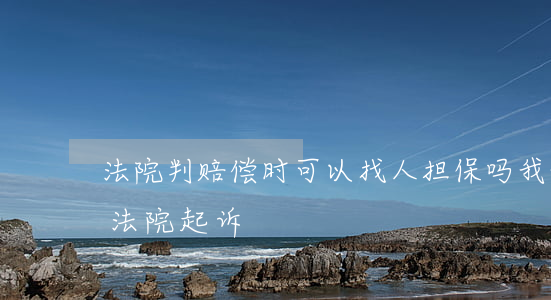 法院判赔偿时可以找人担保吗(我给别人担保法院起诉)