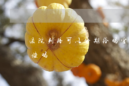 法院判赔可以分期给吗(官司输了,可以分期赔偿吗)